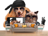 Фотообои кот с собакой делают селфи - 1