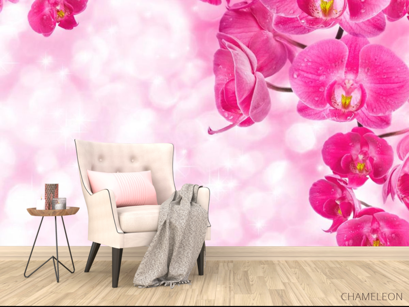 Фотообои Орхидеи розовые и вода - 4