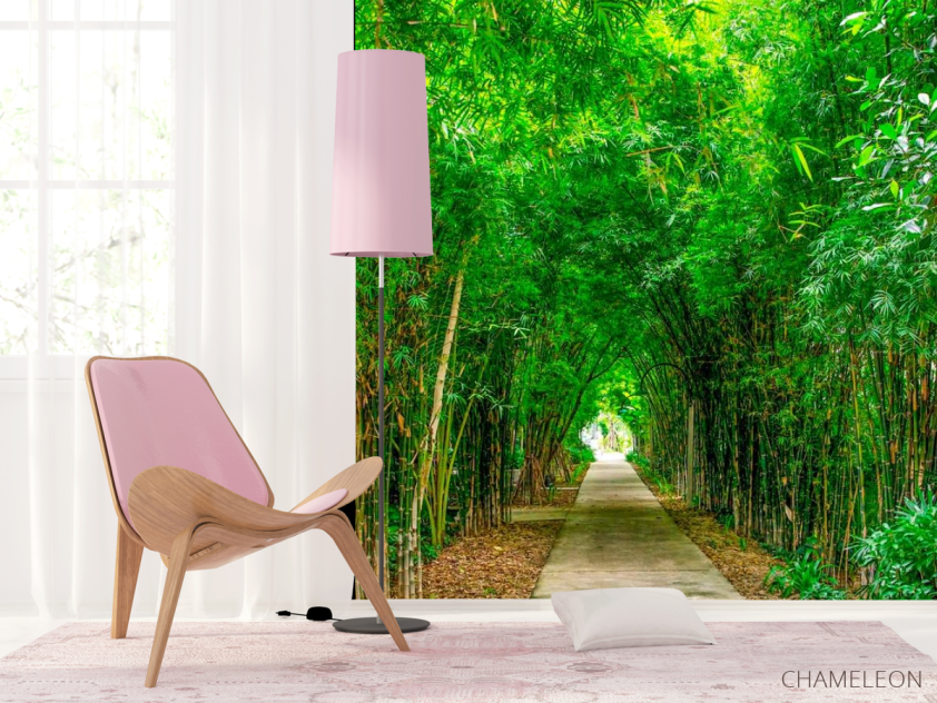 Фотошпалери Бамбук, дорга, плита - 4