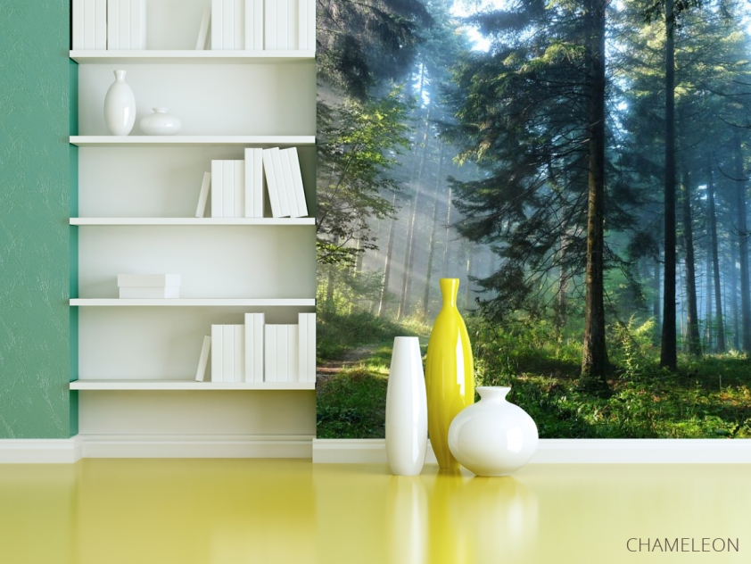 Фотошпалери Дерева в лісі - 3