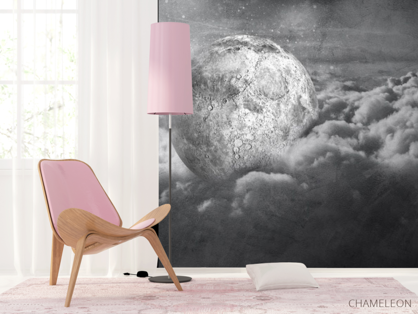 Фотошпалери сіра місяць - 4