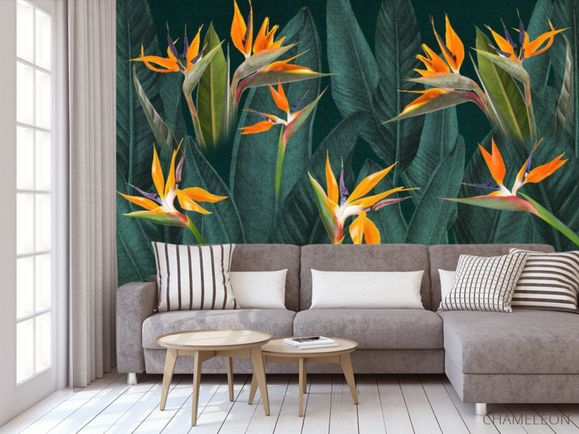 Фотообои Цветы стрелиции - 3