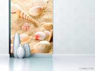 Фотообои Ракушки в песке - 1