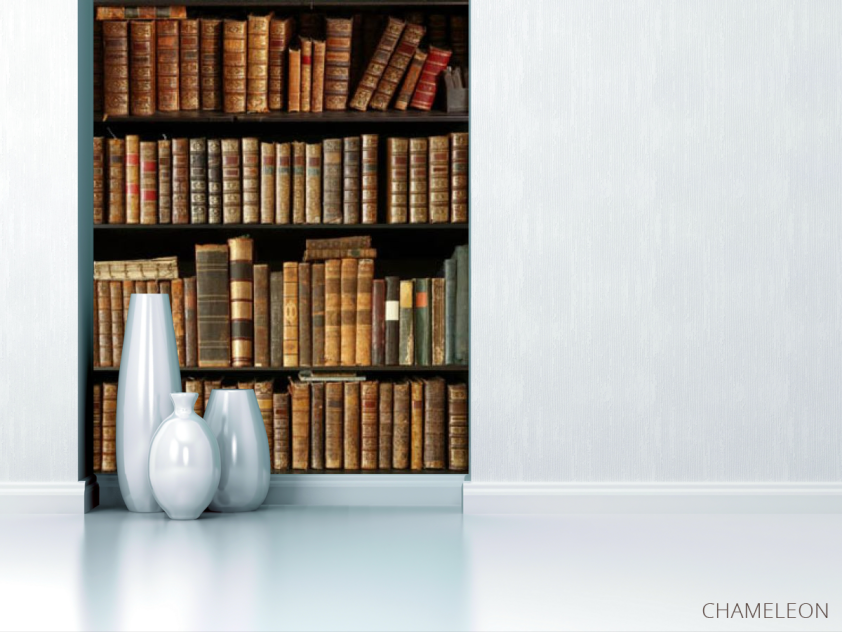 Фотообои Книжные полки - 1