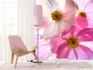 Фотообои Оттенки шиповника - 4