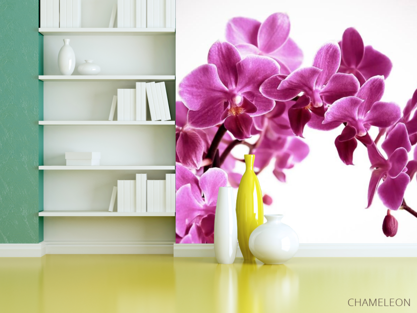 Фотошпалери Орхідея - 3