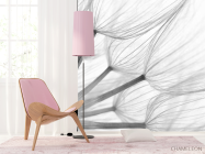 Фотошпалери Кульбаба - 4