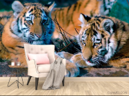 Фотообои Два тигра - 4
