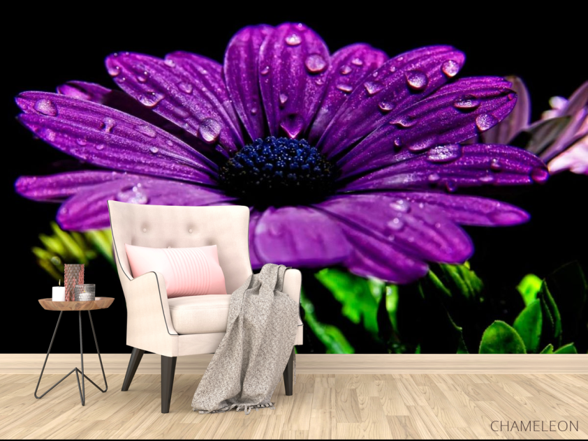 Фотообои Фиолетовый цветок - 4