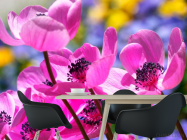 Фотошпалери Букет рожевих тонколистников - 1