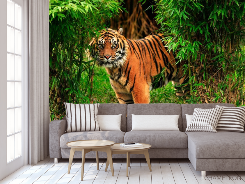 Фотообои Тигр в зарослях - 3