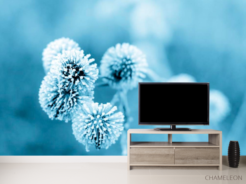 Фотообои Цветы в инее - 2