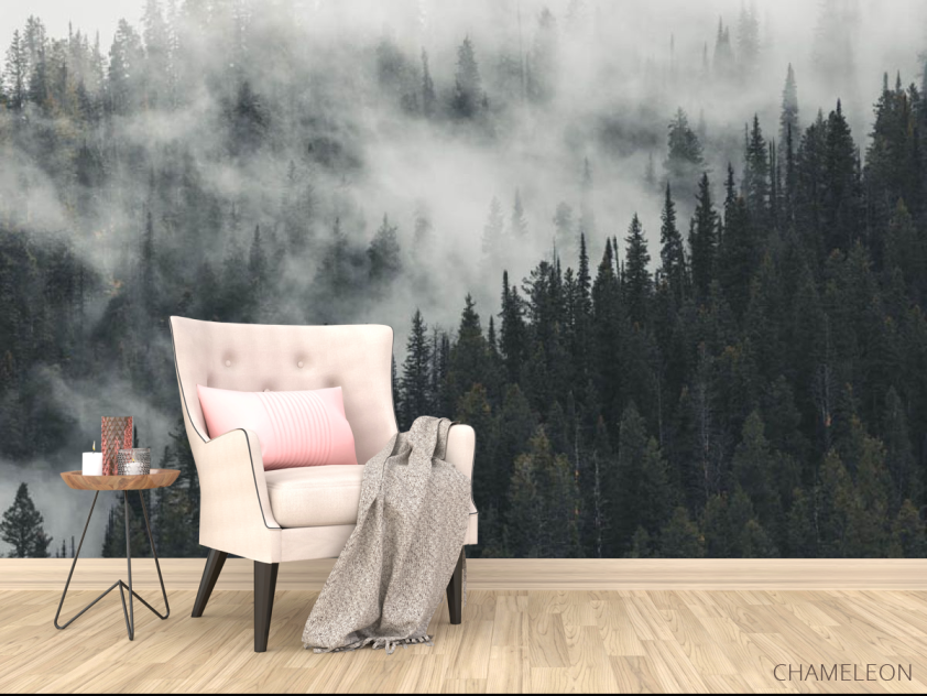 Фотообои Туманный лес - 4