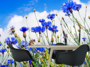 Фотошпалери Поле васильків - 1