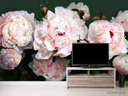 Фотообои Пионы - 2