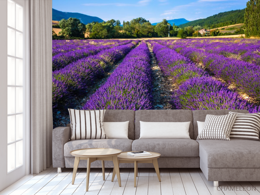 Фотообои поле цветов - 3