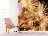 Фотошпалери Макро кульбаби - 4