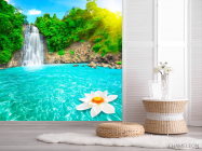 Фотообои Лилия на воде - 2