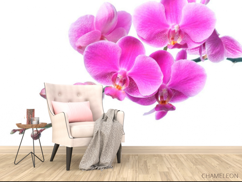 Фотообои Сиреневая орхидея - 4
