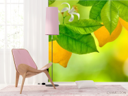 Фотошпалери Лимон - 4