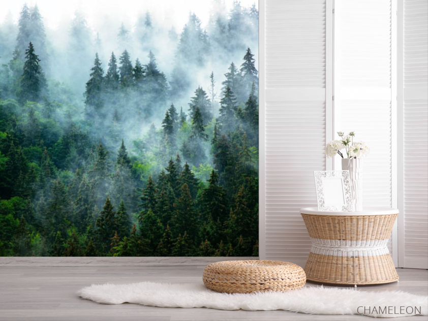 Фотошпалери ліс в тумані - 2