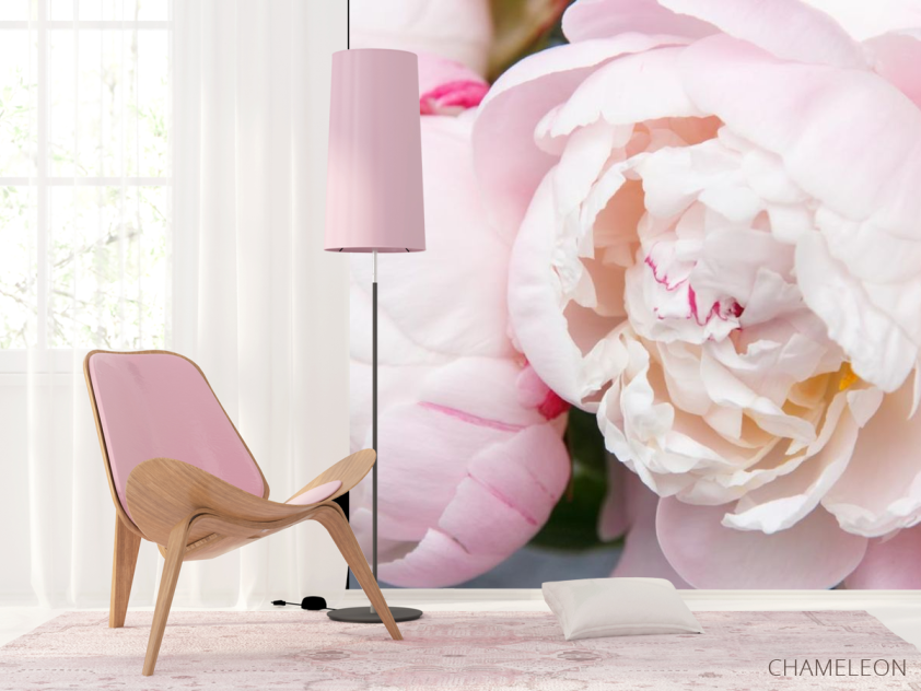 Фотошпалери ніжні біло-рожеві півонії - 4