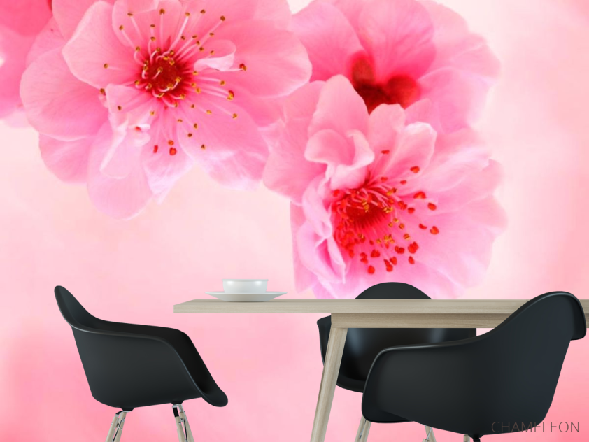 Фотообои Нежно-розовые цветы - 1