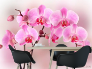 Фотошпалери Орхідеї рожевих тонів - 1