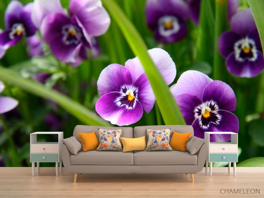 Фотообои Фиолетовые анютины глазки - 1