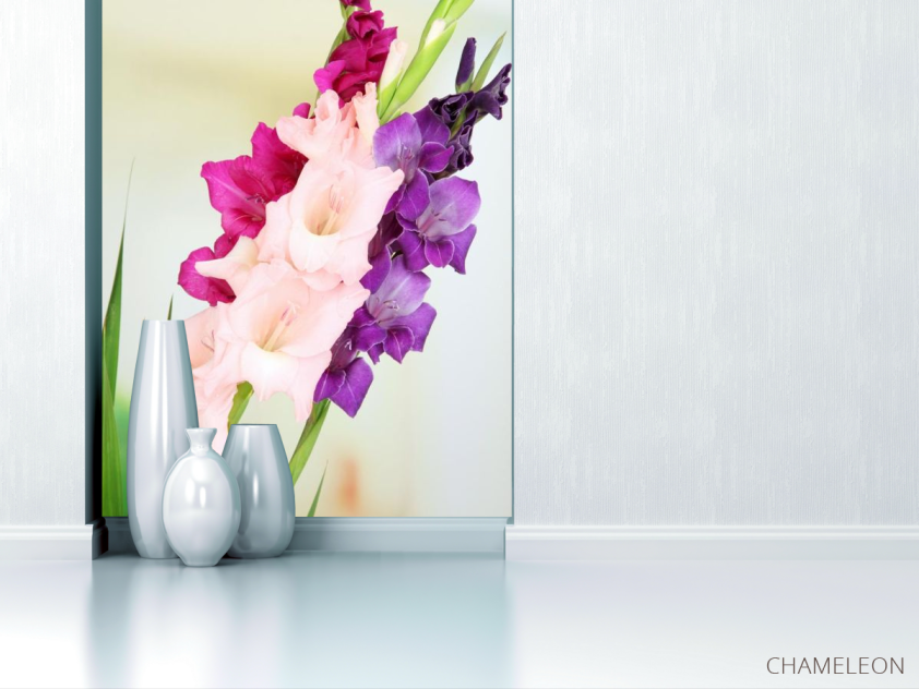 Фотообои гладиолусы - 1