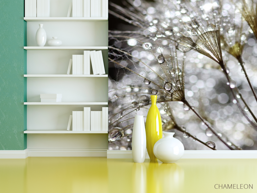 Фотошпалери білий кульбаба з росою - 3