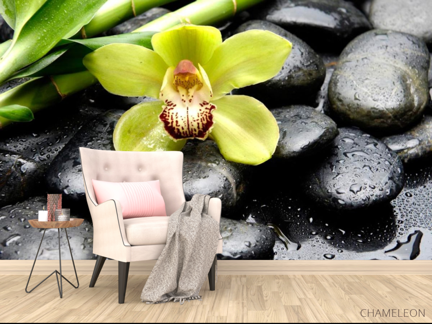 Фотообои Зеленая орхидея, камни - 4