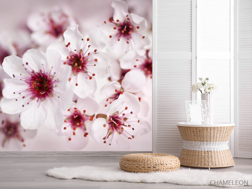 Фотошпалери цвіт вишні - 2