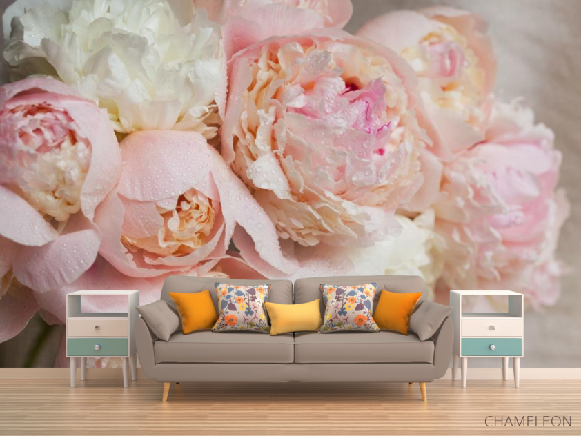 Фотообои нежные цветы с каплями - 1