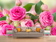 Фотообои чайная роза - 1