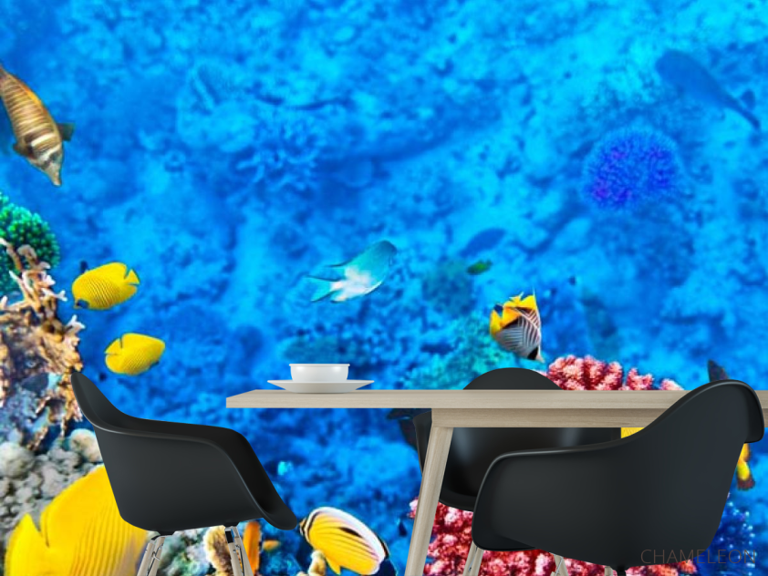 Фотошпалери Риба біля рифу - 1