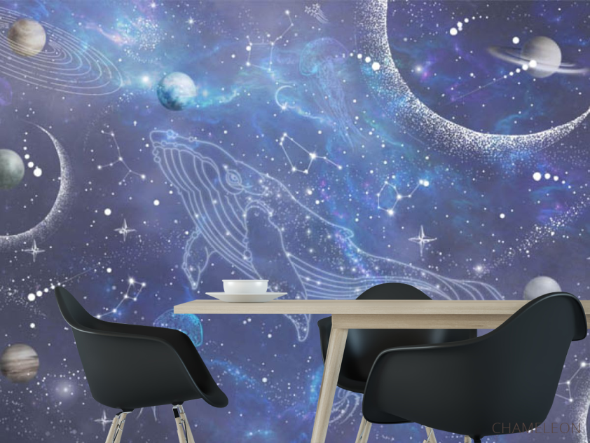 Фотошпалери Кіт і зведное небо - 1