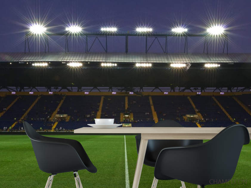 Фотошпалери стадіон з людьми - 1