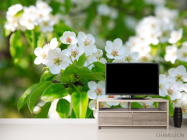 Фотообои белые весенние цветочки - 2