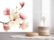 Фотошпалери магнолія - 2