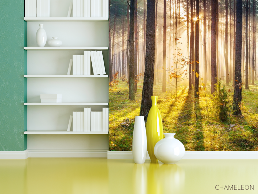 Фотошпалери Захід сонця в лісі - 3