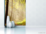 Фотообои Деревья, лес - 1