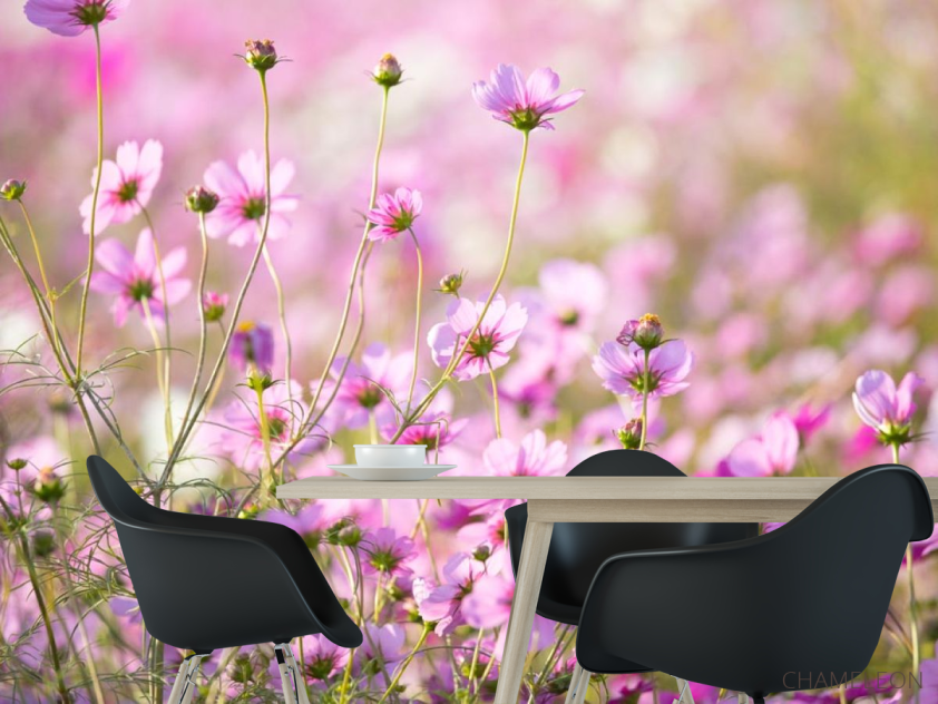 Фотошпалери маленькі рожеві квіточки - 1