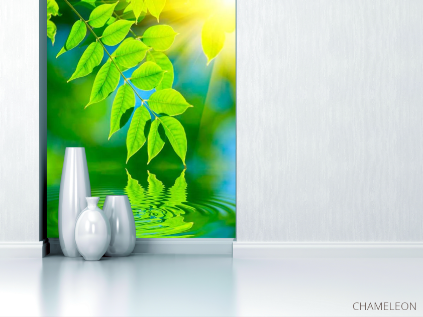 Фотообои Зелень над водой - 1