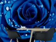 Фотошпалери Роза яскраво-синя - 1