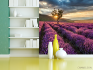 Фотошпалери лавандове поле - 3