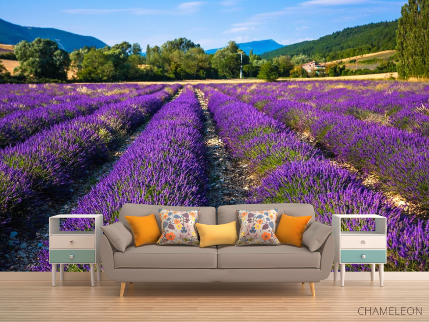 Фотообои поле цветов - 1