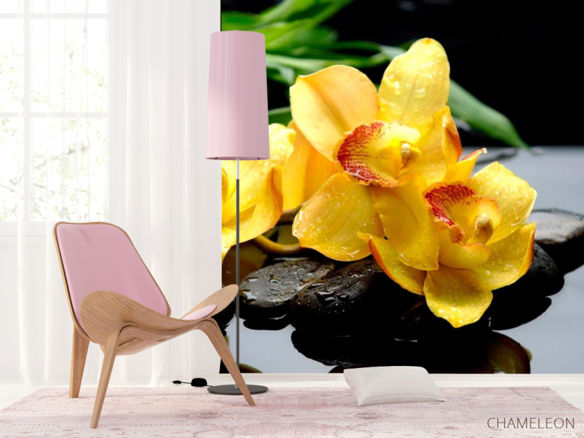 Фотошпалери Орхідея - 4