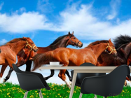 Фотошпалери Табун біжать коней - 1