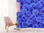 Фотошпалери синій Остеоспермум - 4